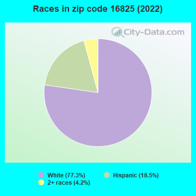 Races in zip code 16825 (2022)