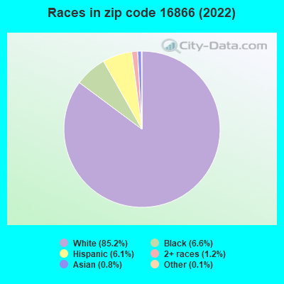 Races in zip code 16866 (2022)