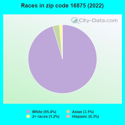 Races in zip code 16875 (2022)