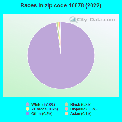 Races in zip code 16878 (2022)