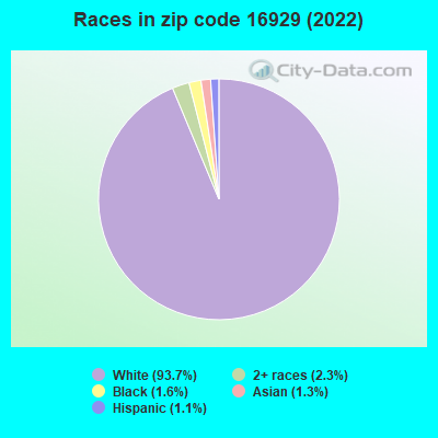 Races in zip code 16929 (2022)