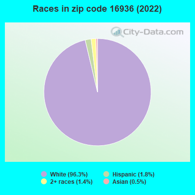 Races in zip code 16936 (2022)