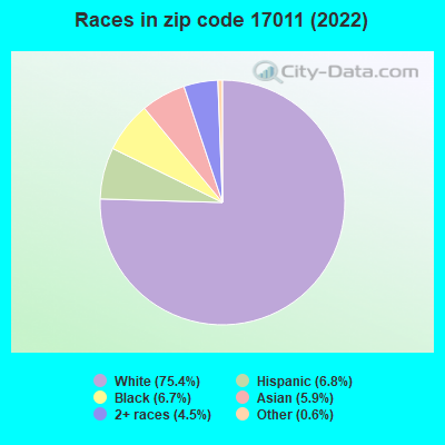 Races in zip code 17011 (2022)