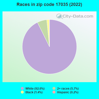 Races in zip code 17035 (2022)