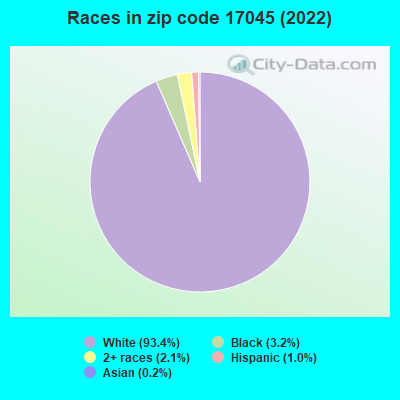 Races in zip code 17045 (2022)