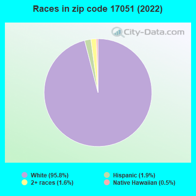 Races in zip code 17051 (2022)