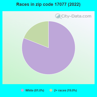 Races in zip code 17077 (2022)