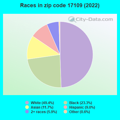 Races in zip code 17109 (2022)