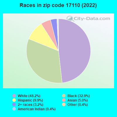 Races in zip code 17110 (2022)