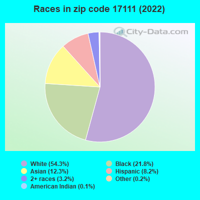 Races in zip code 17111 (2022)