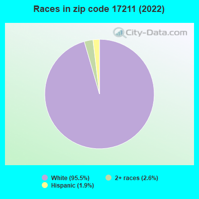 Races in zip code 17211 (2022)