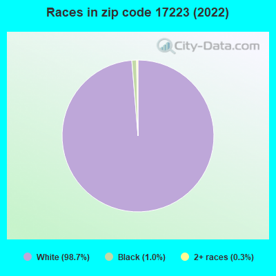 Races in zip code 17223 (2022)