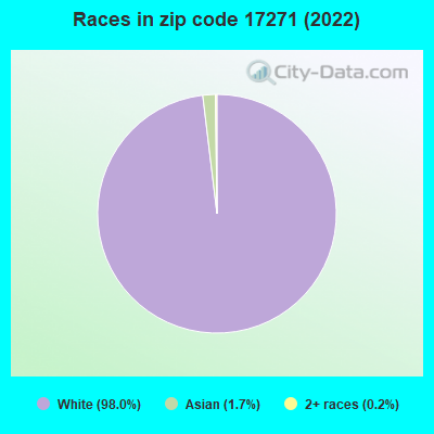 Races in zip code 17271 (2022)