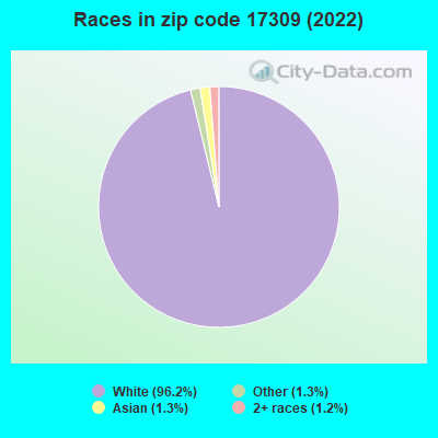 Races in zip code 17309 (2022)