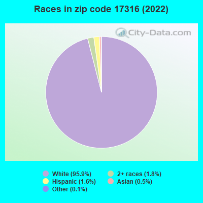 Races in zip code 17316 (2022)