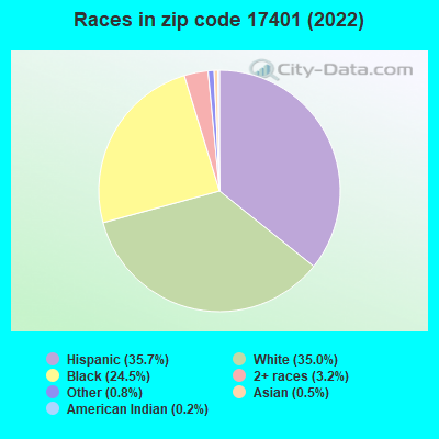 Races in zip code 17401 (2022)