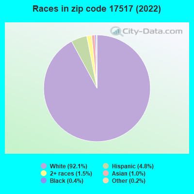Races in zip code 17517 (2022)
