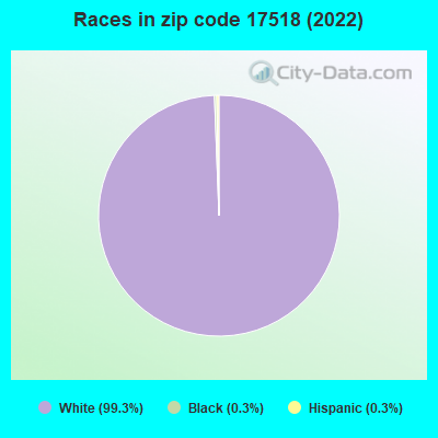 Races in zip code 17518 (2022)