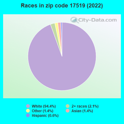 Races in zip code 17519 (2022)