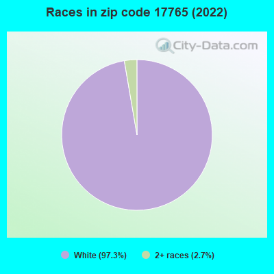 Races in zip code 17765 (2022)