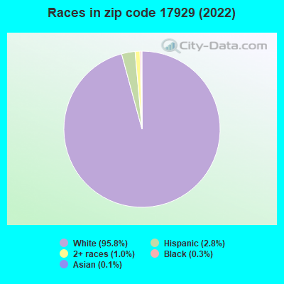 Races in zip code 17929 (2022)