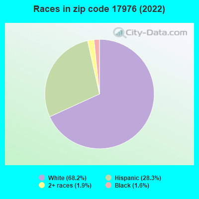 Races in zip code 17976 (2022)