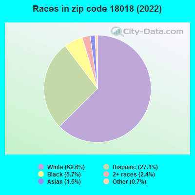 Races in zip code 18018 (2022)