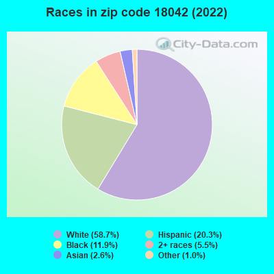 Races in zip code 18042 (2022)