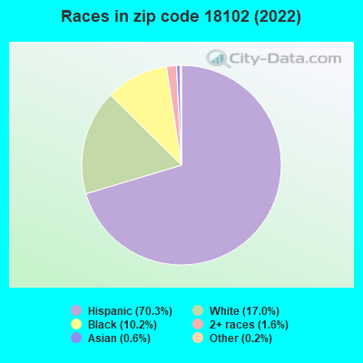 Races in zip code 18102 (2022)