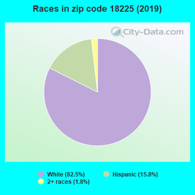 Races in zip code 18225 (2019)