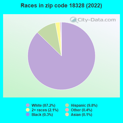 Races in zip code 18328 (2022)