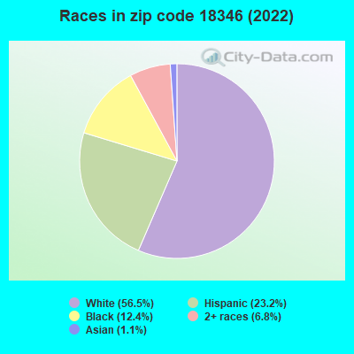 Races in zip code 18346 (2022)