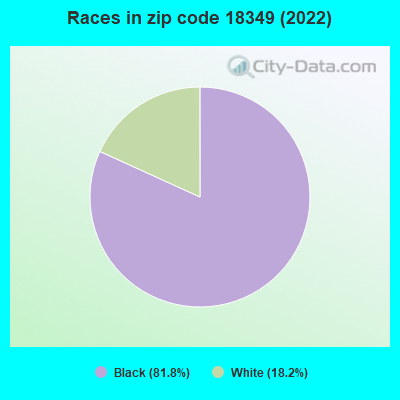 Races in zip code 18349 (2022)