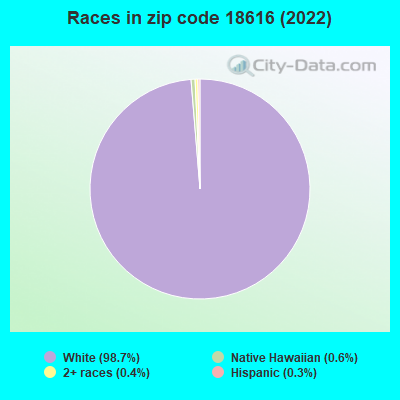 Races in zip code 18616 (2022)