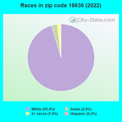 Races in zip code 18636 (2022)