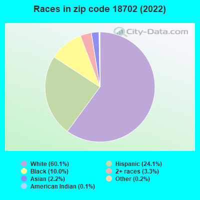 Races in zip code 18702 (2022)