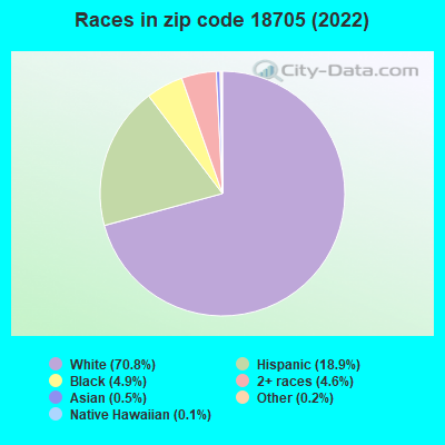 Races in zip code 18705 (2022)
