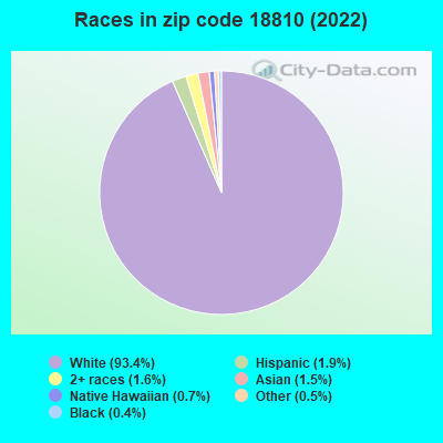 Races in zip code 18810 (2022)