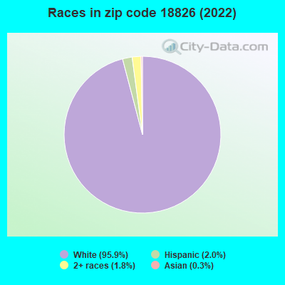 Races in zip code 18826 (2022)