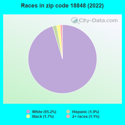 Races in zip code 18848 (2022)