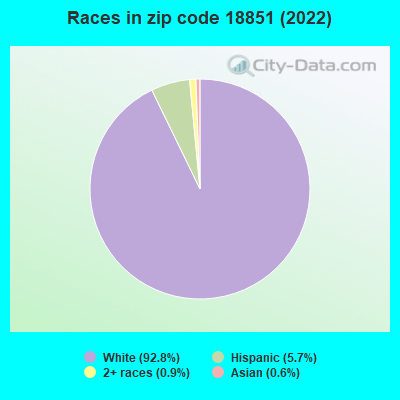 Races in zip code 18851 (2022)