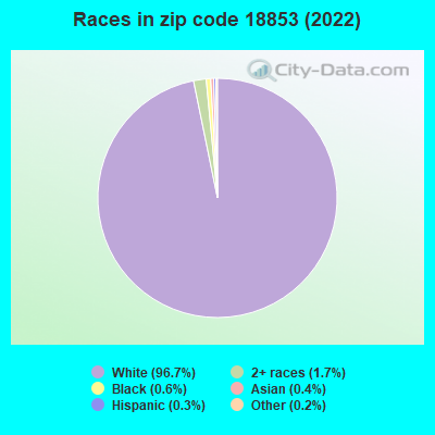 Races in zip code 18853 (2022)