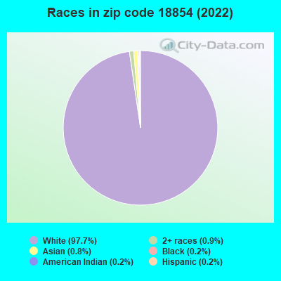 Races in zip code 18854 (2022)