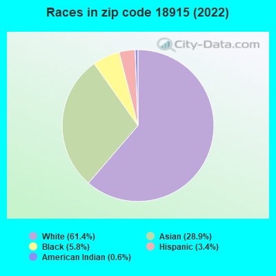 Races in zip code 18915 (2022)