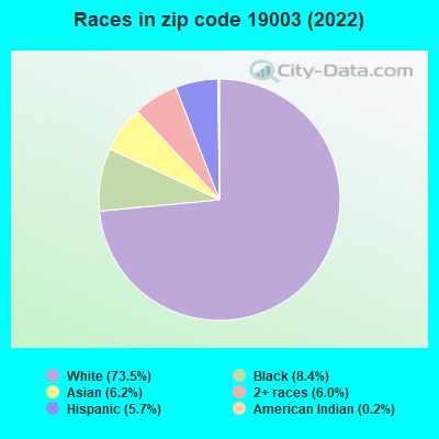 Races in zip code 19003 (2022)
