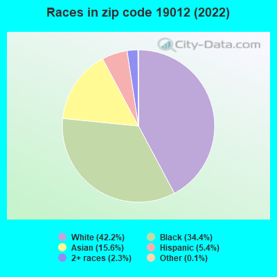 Races in zip code 19012 (2022)