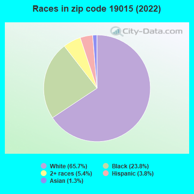 Races in zip code 19015 (2022)
