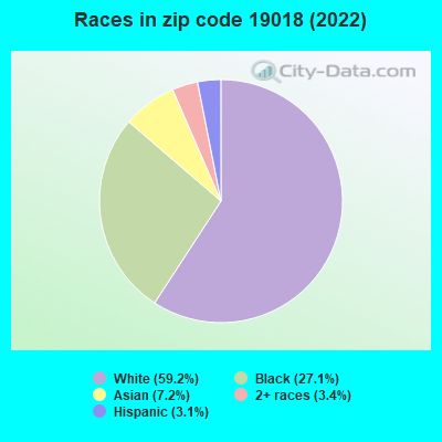 Races in zip code 19018 (2022)