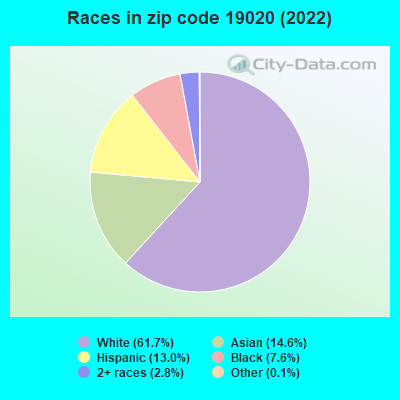 Races in zip code 19020 (2022)