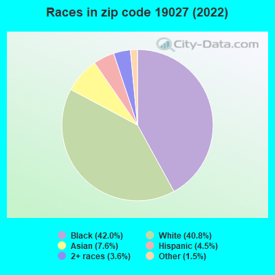 Races in zip code 19027 (2022)